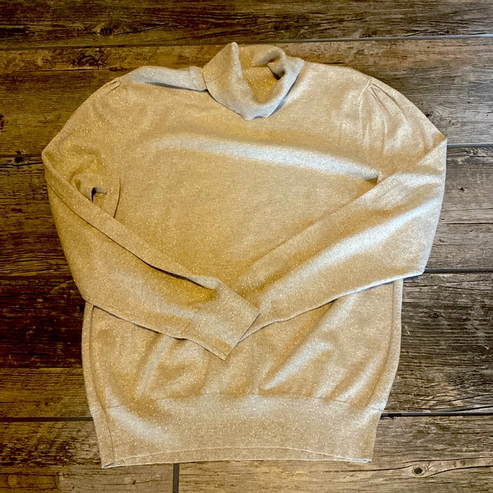 Liz sparkle puff sleeve sweater